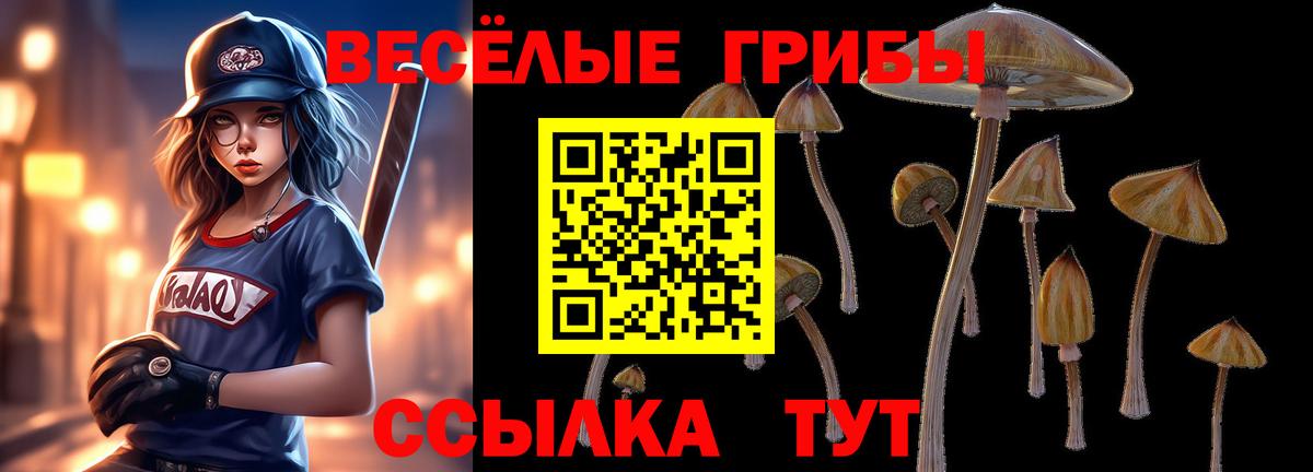 Тимашёвск  Галлюциногенные грибы ЛСД  Вход с VPN 